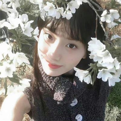 初试羽翼 海报