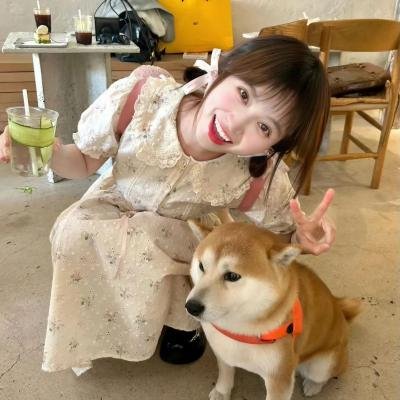 双生赤狐 海报